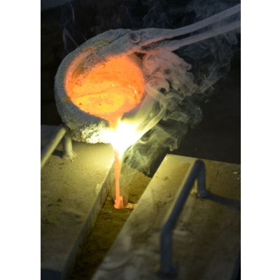 画像4: クマに金棒 pro