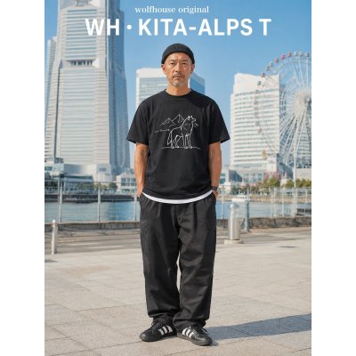 画像6: WH・KITA-ALPS T
