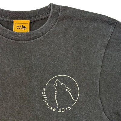 #6351 fade gray