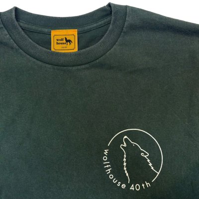 #4289 fade green