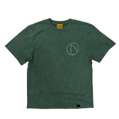 #4289 fade green