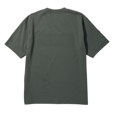 #4033 slate green