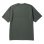 #4033 slate green