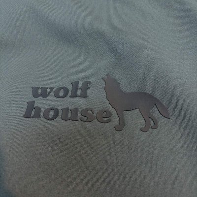 画像8: WOLF TECH T