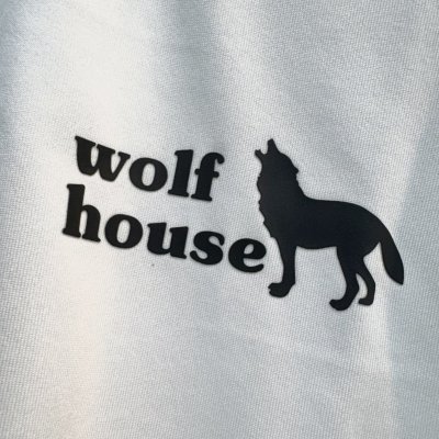 画像11: WOLF TECH T