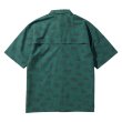 #4299 emerald