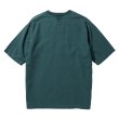 #4299 emerald