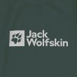 #4136 slate green