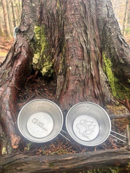 画像8: JP PAW SIERRA CUP M (8)