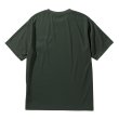 #4136 slate green