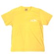 #3202 daisy yellow