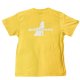 #3202 daisy yellow