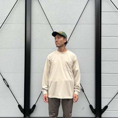 画像2: JP PAW IN POCKET LS T