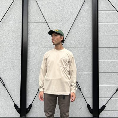 画像1: JP PAW IN POCKET LS T