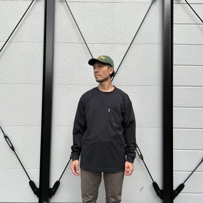 画像2: JP POCKET LS T V2