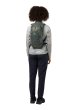 #4143 gecko green