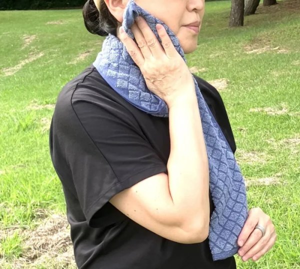 画像10: どこでもタオル (10)