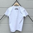 #500 white