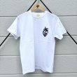 #500 white