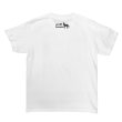 #500 white