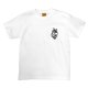 #500 white