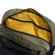 #4550 dusty olive