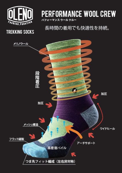 画像14: OLENO パフォーマンスウールクルー (14)