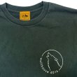 #4289 fade green