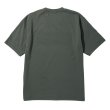 #4033 slate green