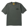 #4033 slate green