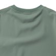 #4311 hedge green